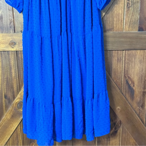 NEW Torrid Maxi Chiffon Clip Dot Pleated Dress Blue Size 0 - Picture 3 of 10